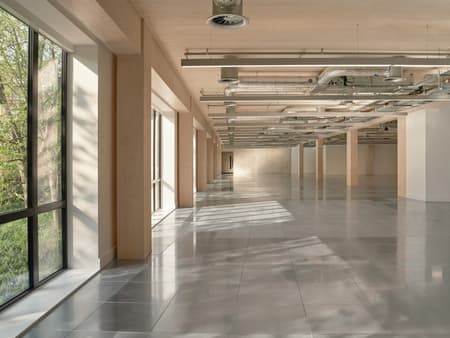 Paradise SE11 Mass Timber Office